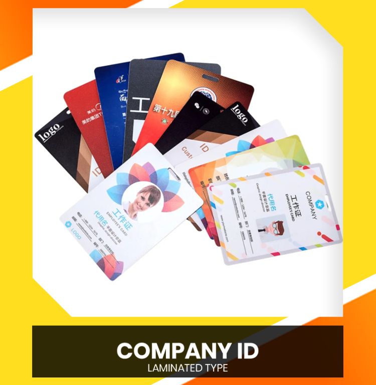 Professional identification and networking tools